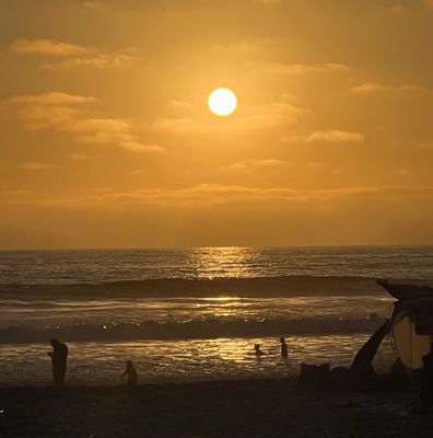 Mission Beach Park by null