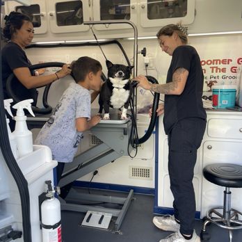 Groomer Gal - Pet Groomers Near Me