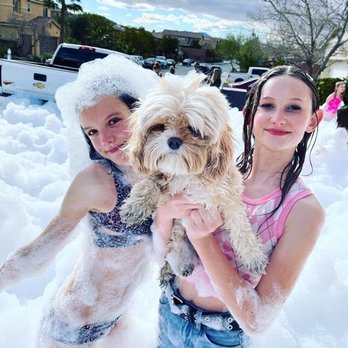 It’s Foam Time - This dog doesn't look happy, but we promise he was! :) - Party Equipment Rentals Near Me It’s Foam Time - This dog doesn't look happy, but we promise he was! :) - Party Equipment Rentals Near Me