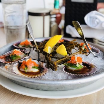 Bluewater Boathouse Seafood Restaurant Coronado - Seafood Near Me - Coronado, California Bluewater Boathouse Seafood Restaurant Coronado - Seafood Near Me - Coronado, California