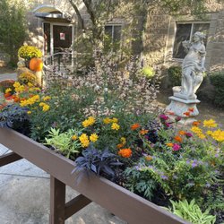 Fountainview Center For Alzheimer's Disease - Our horticulture garden bed.