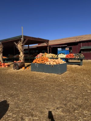 Larry's Produce by null