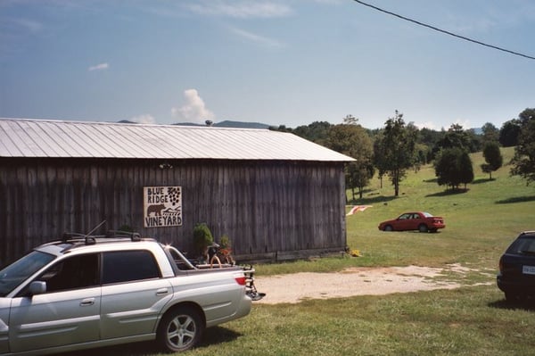 Blue Ridge Vineyard