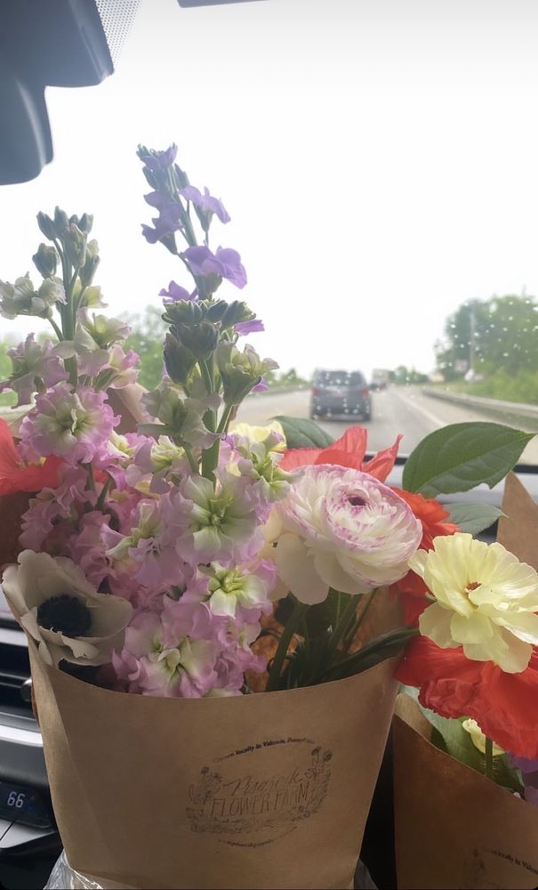 PISARCIK FLOWER FARM Updated August 2024 11 Photos 365 Browns