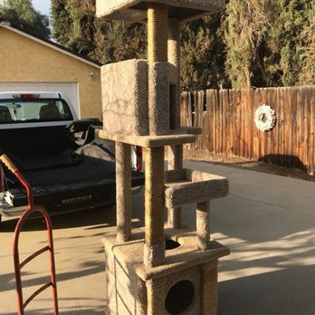 Custom Kittys - Pet Stores Near Me - San Marcos, California Custom Kittys - Pet Stores Near Me - San Marcos, California