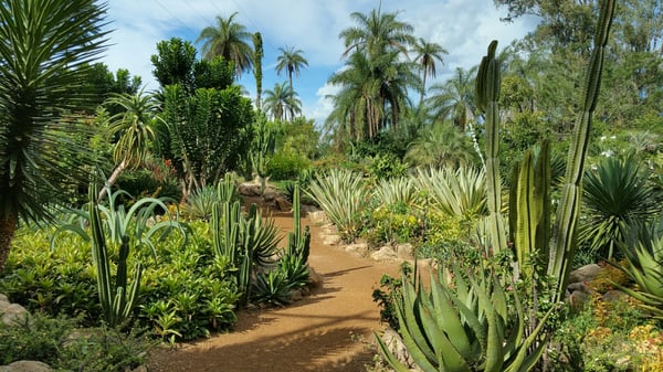 Inhotim Museum by null