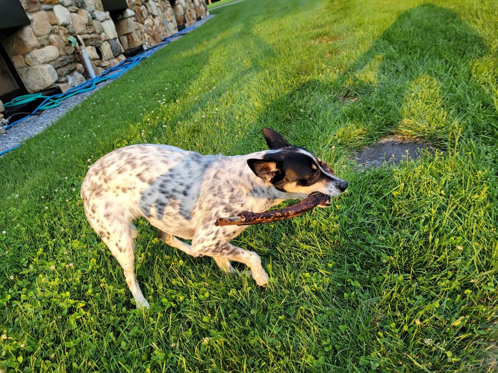 JACKSONVILLE COUNTRY STORE 12 Reviews 3054 Vermont Rt 100, Jacksonville, VT Yelp