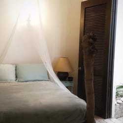 House of Zen - Comfy town