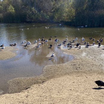 Kit Carson Park - Parks Near Me - Escondido, California