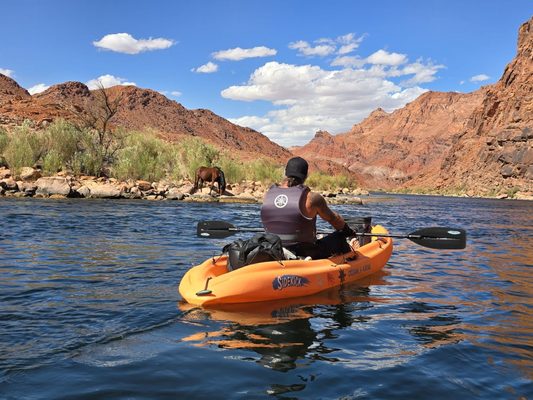 Horseshoe Bend by null