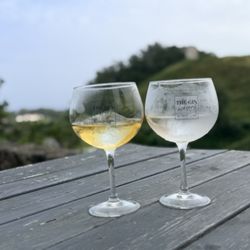 The Gin Library