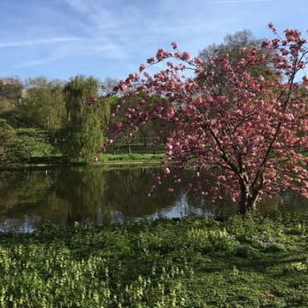 St James's Park - Just some really pretty blossom - Parks Near Me St James's Park - Just some really pretty blossom - Parks Near Me
