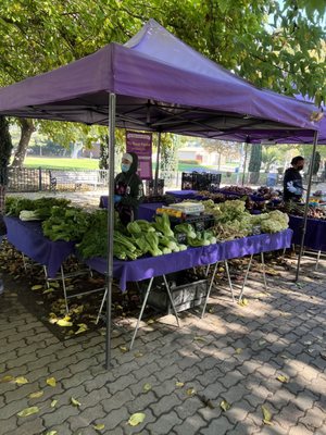 Union City Farmers' Market by null