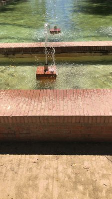 Parque de María Luisa by null