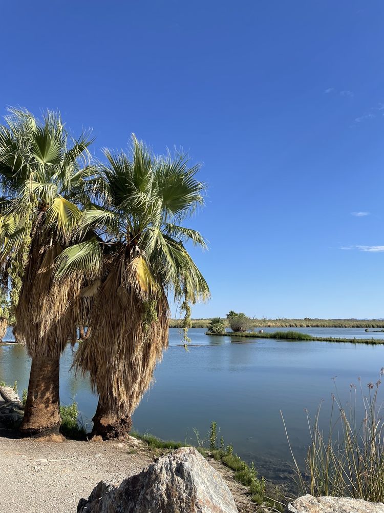 MITTRY LAKE Updated October 2024 12 Photos Laguna Dam Rd, Yuma