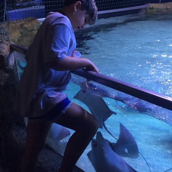 Austin Aquarium - Aquariums Near Me - Austin, Texas