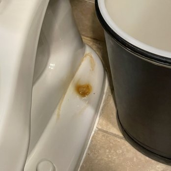 Hampton Inn South Hill - Filth in the toilet footing - Hotels Near Me - South Hill, Virginia Hampton Inn South Hill - Filth in the toilet footing - Hotels Near Me - South Hill, Virginia