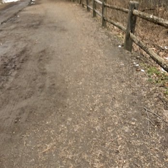 Wissahickon Park - Flat, wide trail. Many runners and bikers used this trail! - Parks Near Me - Philadelphia, Pennsylvania Wissahickon Park - Flat, wide trail. Many runners and bikers used this trail! - Parks Near Me - Philadelphia, Pennsylvania