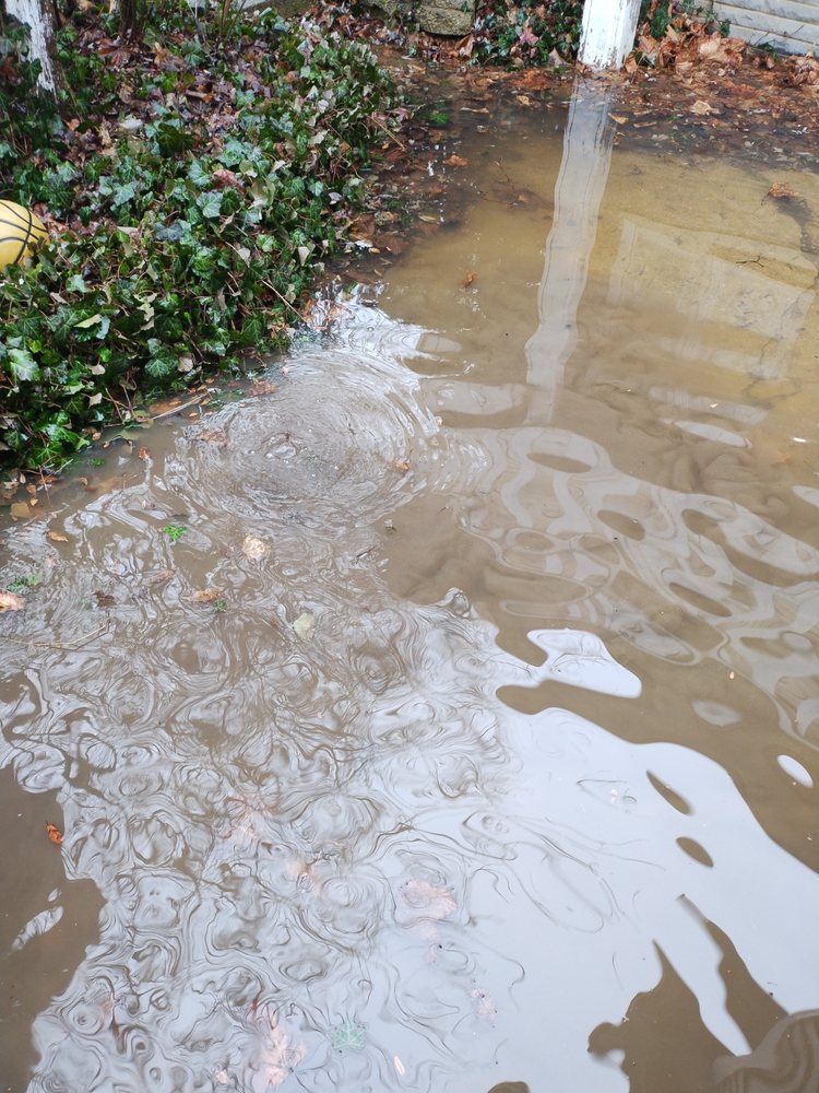 Slide of Speedy's Drain Cleaning