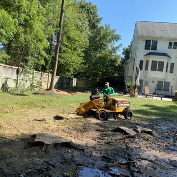 Top Notch Tree And Landscape - Tree Services Near Me