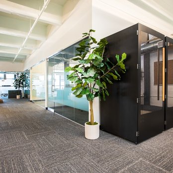 Town House Specialty Cleaning - Office cleaning - Home Cleaning Near Me - New York, New York Town House Specialty Cleaning - Office cleaning - Home Cleaning Near Me - New York, New York
