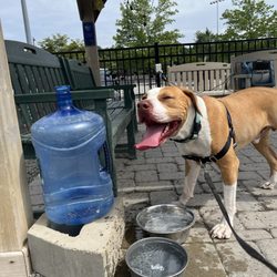 Cooling center in gazebo