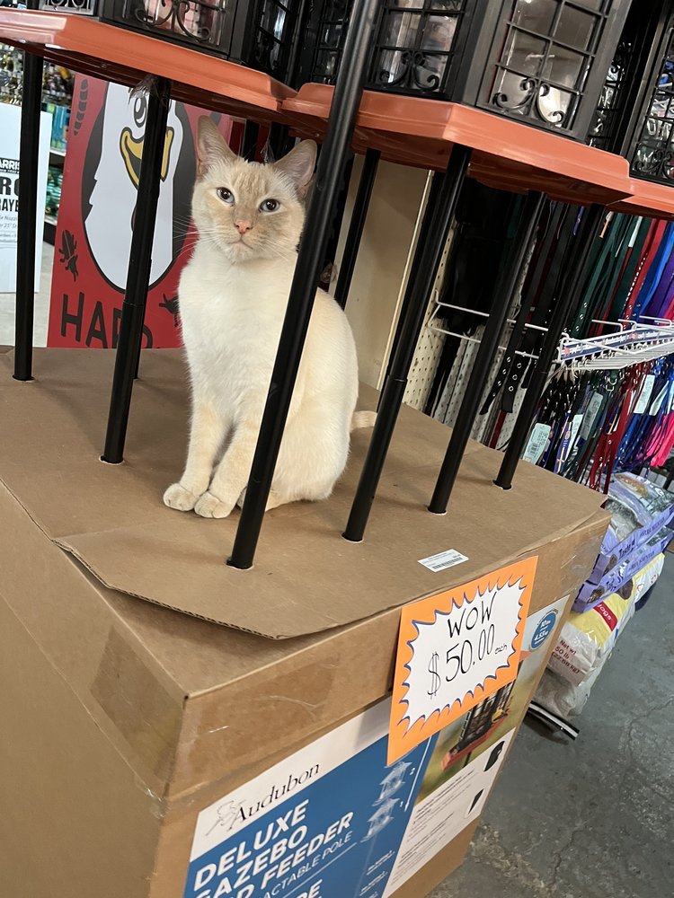 PARIS FARMERS UNION Updated August 2024 299 Auburn Rd, Turner