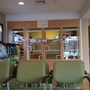 river road animal hospital hours