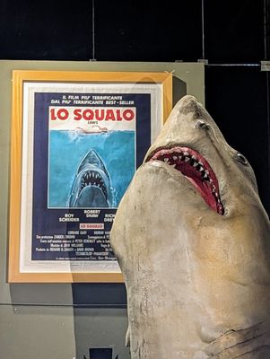 Museo Nazionale del Cinema by null