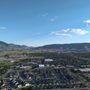 Balloons Above