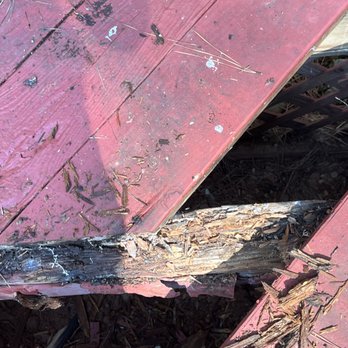 Phoenix Emerging Enterprises - Deck Repair - Handyman Near Me - Atlanta, Georgia Phoenix Emerging Enterprises - Deck Repair - Handyman Near Me - Atlanta, Georgia