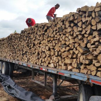 A Better Arborist - Tree Services Near Me - Dallas, Texas A Better Arborist - Tree Services Near Me - Dallas, Texas