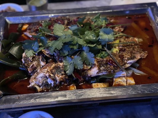 Hot Space Brooklyn by null