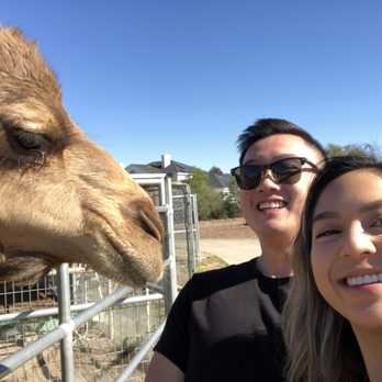 Sugarplum Zoo - Zeus loves selfies - Chocolatiers & Shops Near Me - Temecula, California