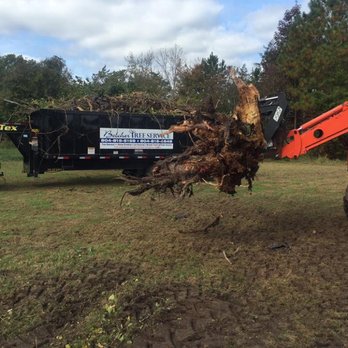Belcher Tree Service - Tree Services Near Me
