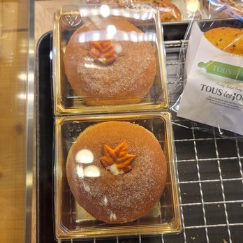 Tous Les Jours - Maple cream donut - Coffee & Tea Near Me - Syracuse, New York Tous Les Jours - Maple cream donut - Coffee & Tea Near Me - Syracuse, New York