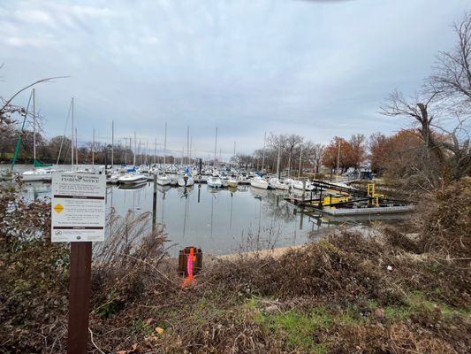 Washington Sailing Marina by null