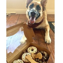 The Puppy Bakery