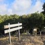 Mills Creek Canyon Park