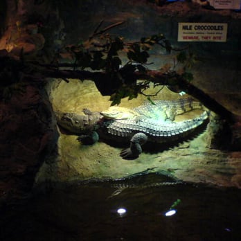 Natureland Seal Sanctuary - Zoos Near Me - Skegness, LIN