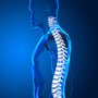 Photo of South Riding Chiropractic