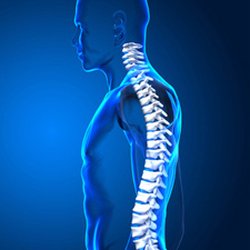 South Riding Chiropractic