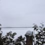 Photo of Morris Island Conservation Area