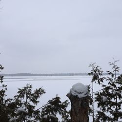 Morris Island Conservation Area
