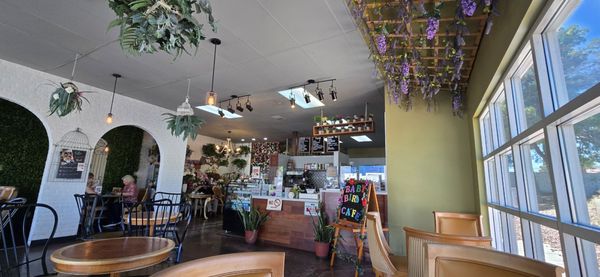 Baby Birds Cafe by null