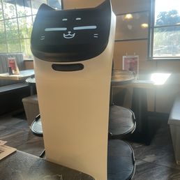 Cat robot Cat robot