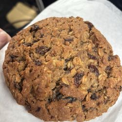 Terra Cotta Pasta - Oatmeal raisin cookie