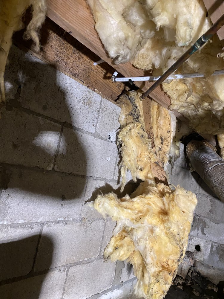 Slide of Boz's Plumbing