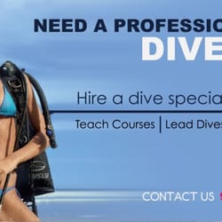 Bikini Boat Wash Crew - Need a diver?