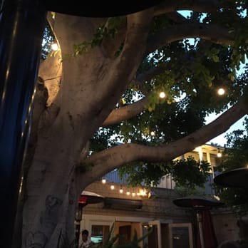 Piatti - Patio - Italian Near Me - La Jolla, California Piatti - Patio - Italian Near Me - La Jolla, California